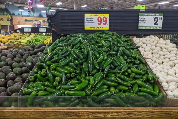 Here’s Why Jalapeño Peppers Keep Getting Less Spicy
