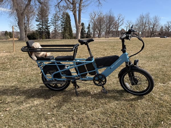 Review: Lectric XPedition 2.0 - The Cargo E-Bike That Delivers on Every Front